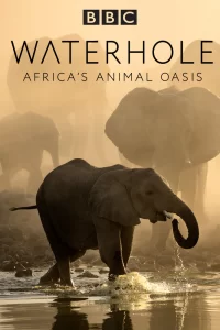 BBC. Водопой: Африканский Оазис для Животных (2020) онлайн