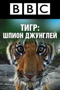 BBC: Тигр — Шпион джунглей (2008) онлайн